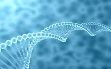 八上生物工作计划8篇