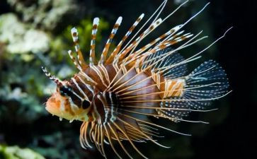 初中生物教师年度考核个人总结8篇