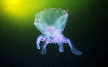 生物组学期工作计划推荐8篇