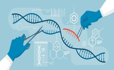 生物大实验后心得体会最新5篇