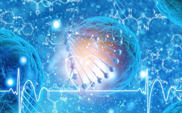 生物教研活动总结5篇