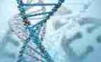 高中生物教师教学反思7篇