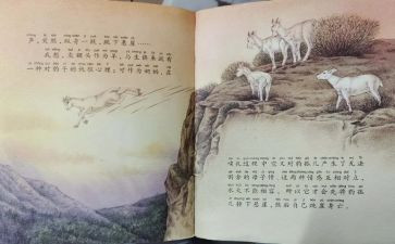 斑羚飞渡心得体会5篇