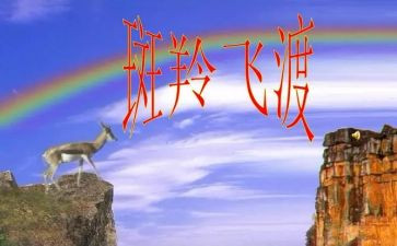 斑羚飞渡优秀的读后感5篇