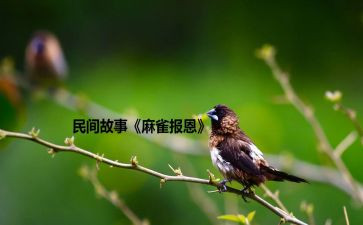 知恩,感恩,报恩演讲稿6篇