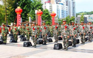 精忠报国的作文5篇