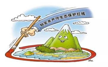 保护动物的心得体会5篇
