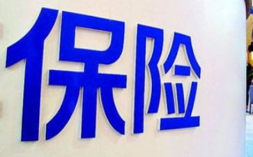 保险公司2024年工作总结模板5篇
