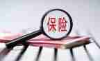保险工作总结及2024年工作计划5篇