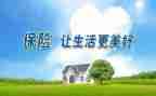 保险公司2024年工作总结报告5篇