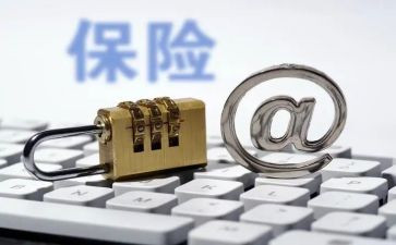 保险业务员个人总结模板8篇