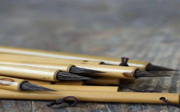 观鹤笔记读后感推荐5篇