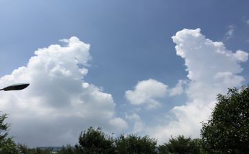青田的变化演讲稿7篇