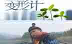 变形字作文400字精选7篇