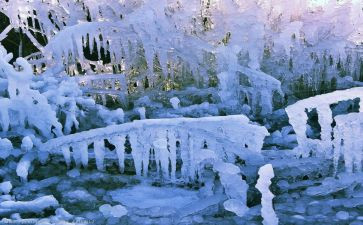 中班冰和雪教案精选5篇