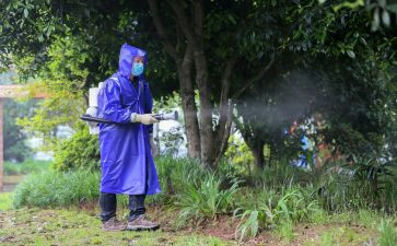病媒生物防治的工作计划7篇