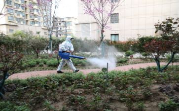 社区病媒生物防治工作计划6篇