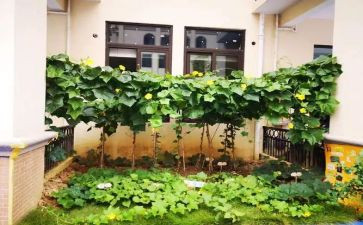 传菜工作总结6篇
