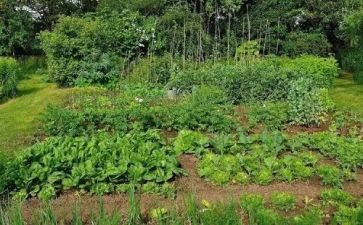 湘菜营销策划方案范文7篇