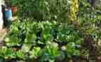 湘菜营销策划方案范文最新5篇