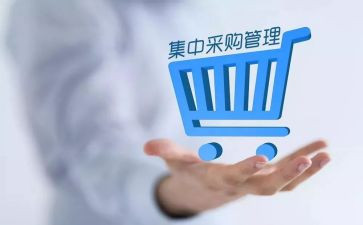 公司采购年工作计划优质7篇