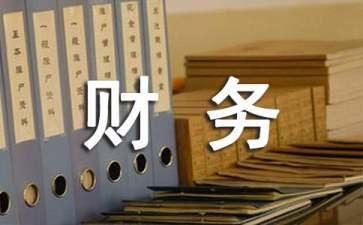 财务个人总结和工作计划5篇