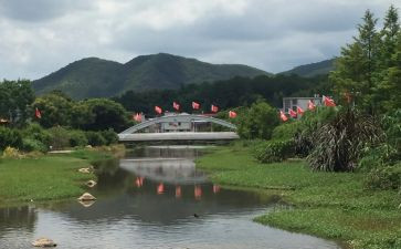 参观才溪心得体会范文精选8篇