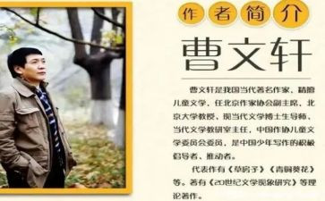 草房子曹文轩读后感7篇