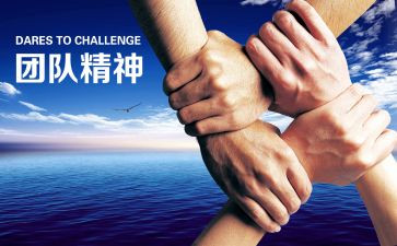 雷锋月活动方案策划7篇