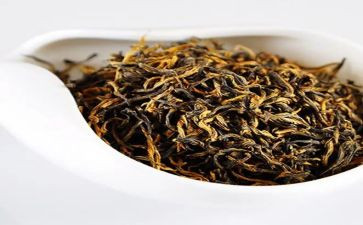 小班茶主题教案8篇