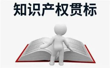 学知识产权心得体会6篇