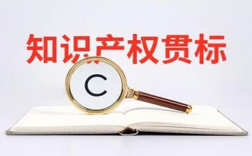 知识产权日宣传总结优秀8篇