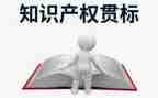 学知识产权心得体会6篇