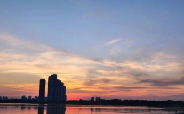 朝夕相处作文500字5篇