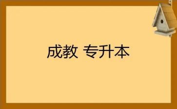2024年大班养成教育总结6篇