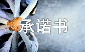 服务方案承诺书5篇