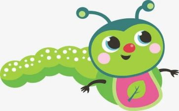 七星瓢虫幼儿教案8篇