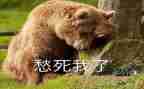 关于愁的作文模板8篇