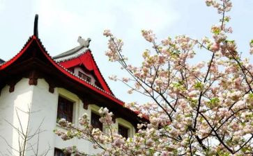 川大入党申请书精选7篇