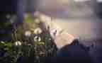 触动我心灵的作文700字6篇