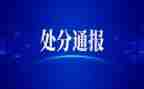大学受处分申请书5篇