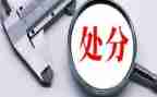 撤销大处分申请书参考6篇