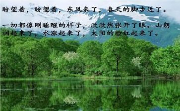 过春节心得体会6篇