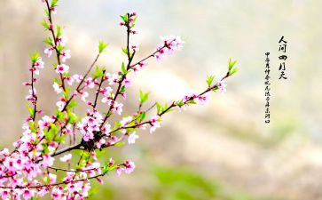 作文春节600字模板5篇