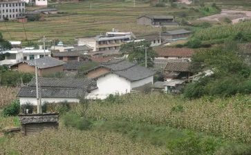 农村教育现状的调查报告7篇