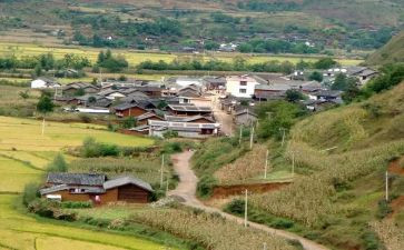 2024村会计的工作总结优秀5篇