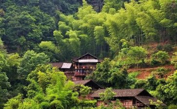 半年度村会计工作总结通用5篇