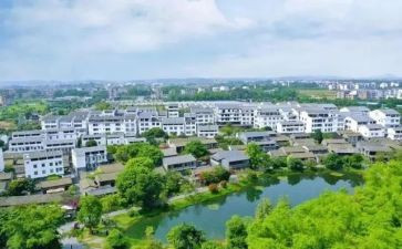 村党支部年度工作总结范文优秀6篇