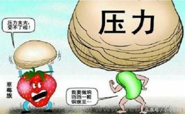 挫折类作文800字6篇