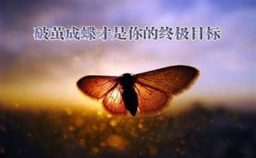 关于挫折的作文800字7篇